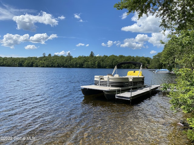 528 Dyken Pond Rd, Berlin, NY 12138