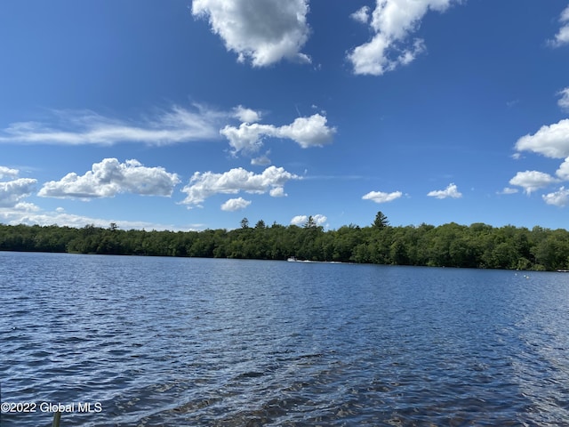 528 Dyken Pond Rd, Berlin, NY 12138