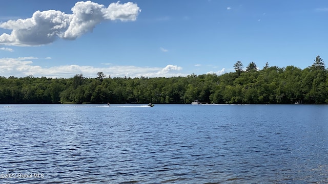 528 Dyken Pond Rd, Berlin, NY 12138