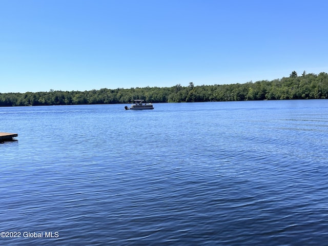 528 Dyken Pond Rd, Berlin, NY 12138