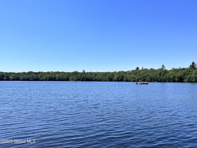 528 Dyken Pond Rd, Berlin, NY 12138