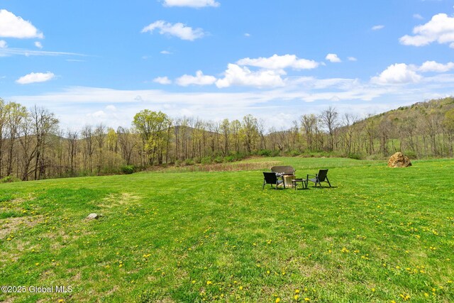 view of yard with a wooded view