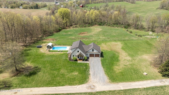 bird's eye view