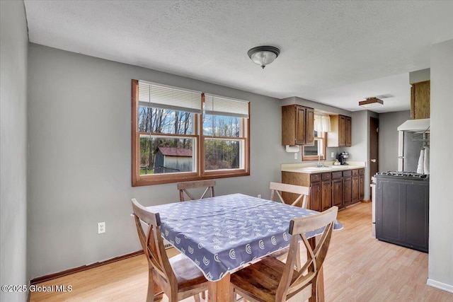 dining space featuring baseboards, a textured ceiling, and light wood finished floors