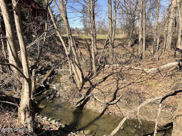view of local wilderness