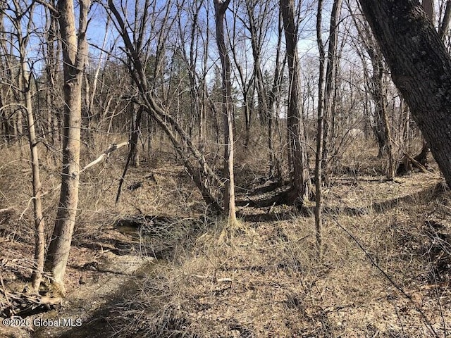 view of local wilderness