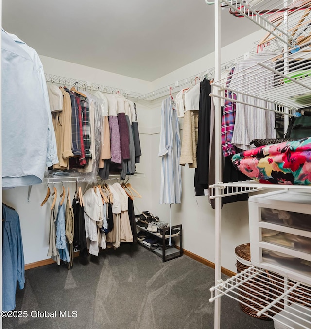 spacious closet with carpet floors