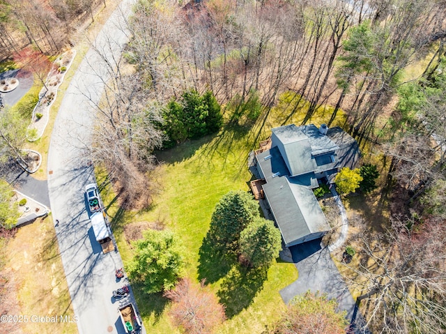 drone / aerial view