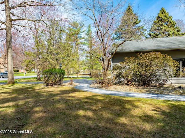 view of home's exterior with a lawn
