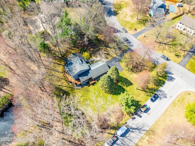 drone / aerial view