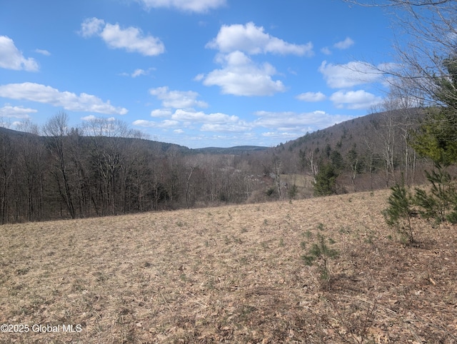 534 Rabbit College Rd, Petersburgh, NY 12138