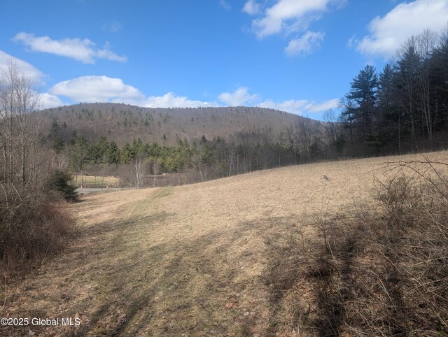 534 Rabbit College Rd, Petersburgh, NY 12138