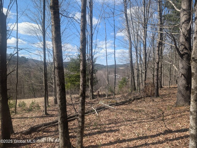 534 Rabbit College Rd, Petersburgh, NY 12138