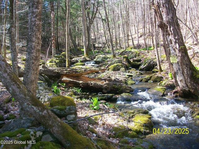 534 Rabbit College Rd, Petersburgh, NY 12138