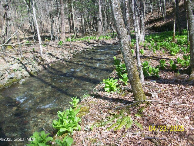 534 Rabbit College Rd, Petersburgh, NY 12138
