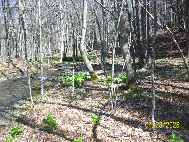 534 Rabbit College Rd, Petersburgh, NY 12138
