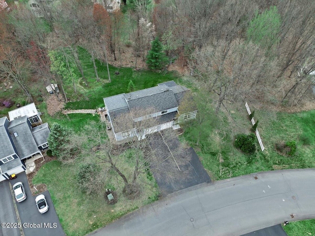 bird's eye view