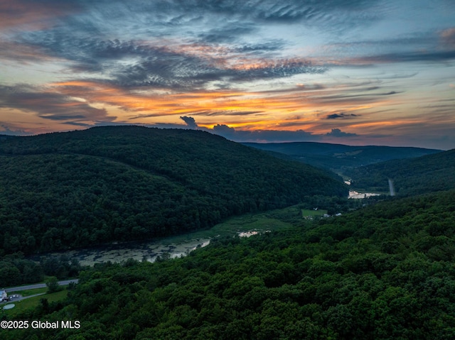 165 Vaughn Hill Rd, Middleburgh, NY 12122 - view of mountain background featuring a forest