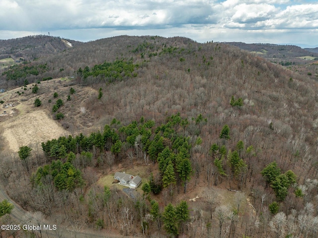 property view of mountains featuring a view of trees
