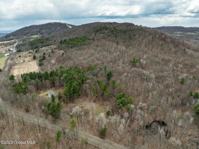 view of mountain feature featuring a forest view