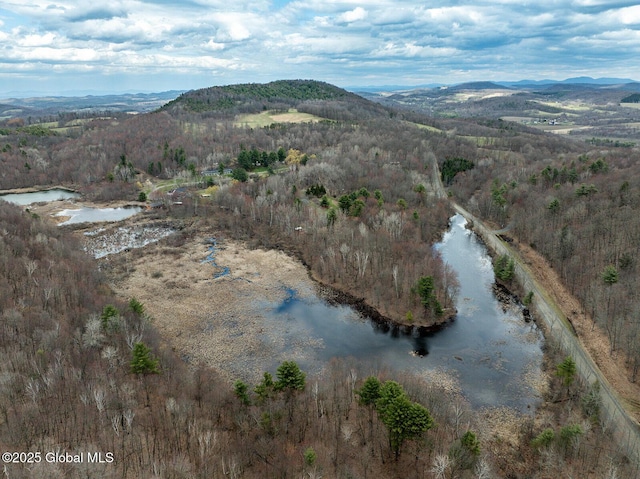 aerial view featuring a water and mountain view and a view of trees