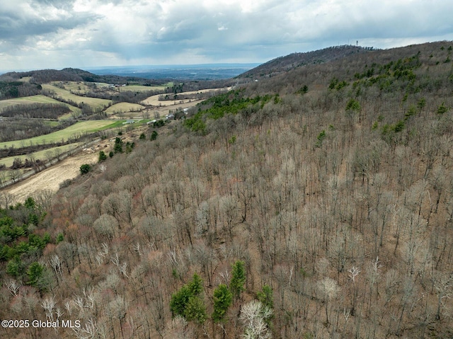 view of mountain feature
