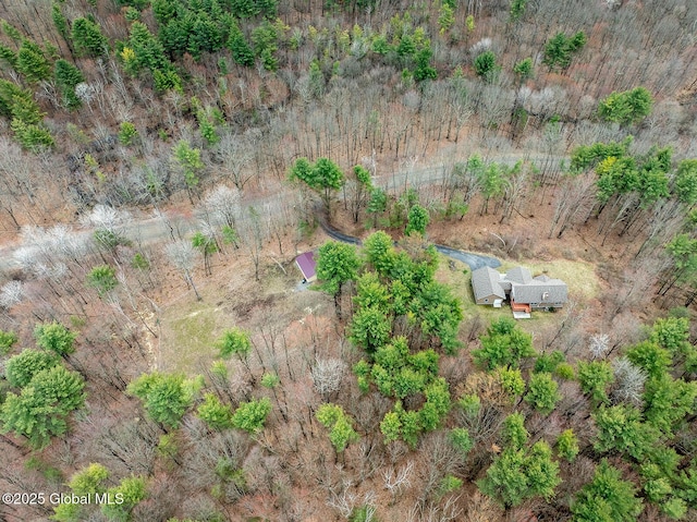 drone / aerial view