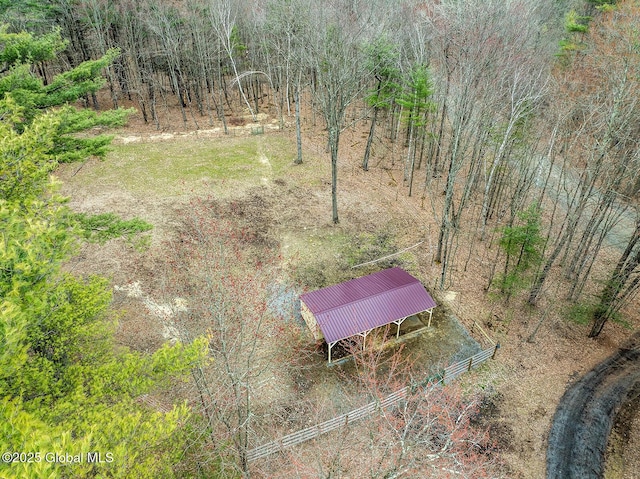 bird's eye view