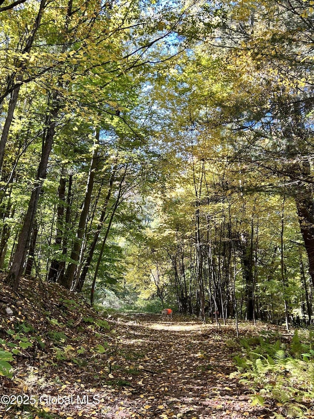 view of landscape with a forest view