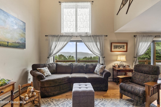 66 Schaeffer Rd, Berlin, NY 12138 - living area with light wood finished floors, a mountain view, and a high ceiling