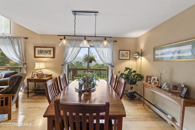 66 Schaeffer Rd, Berlin, NY 12138 - dining space with plenty of natural light, baseboard heating, and light wood-style flooring