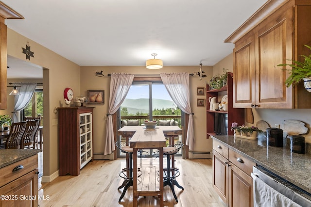 66 Schaeffer Rd, Berlin, NY 12138 - dining room with baseboard heating, light wood-style floors, a baseboard heating unit, and a mountain view