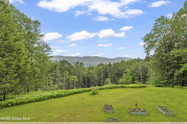66 Schaeffer Rd, Berlin, NY 12138 - view of green lawn with a view of trees and a mountain view