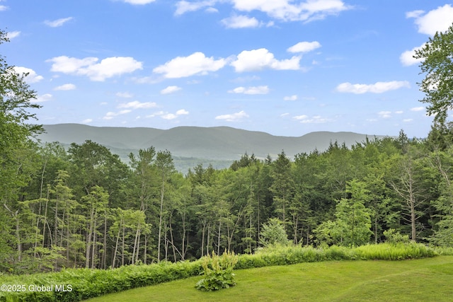 66 Schaeffer Rd, Berlin, NY 12138 - view of mountain background with a forest
