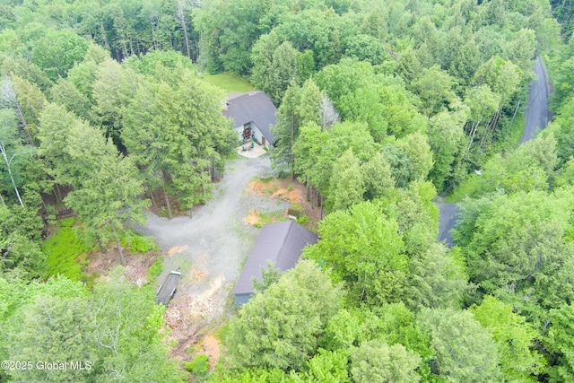 66 Schaeffer Rd, Berlin, NY 12138 - view of subject property with a forest