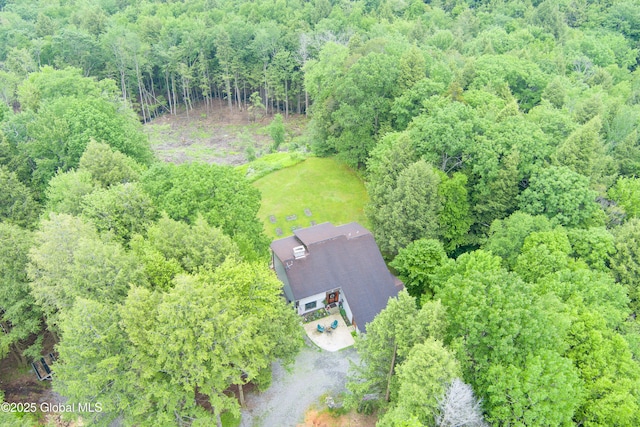 66 Schaeffer Rd, Berlin, NY 12138 - aerial view of property and surrounding area featuring a forest
