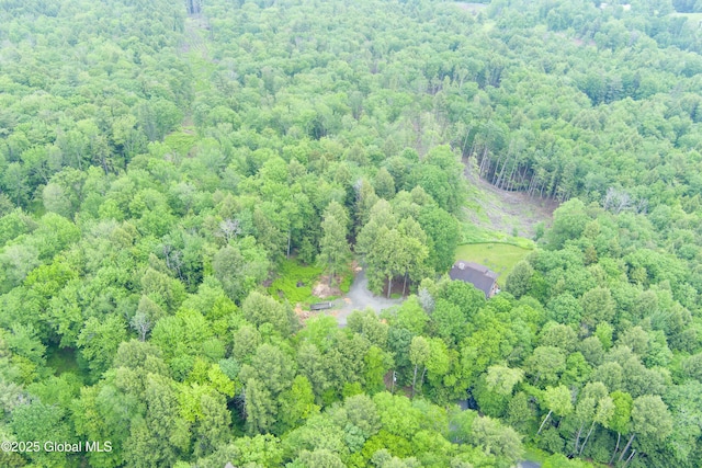 66 Schaeffer Rd, Berlin, NY 12138 - aerial overview of property's location featuring a forest