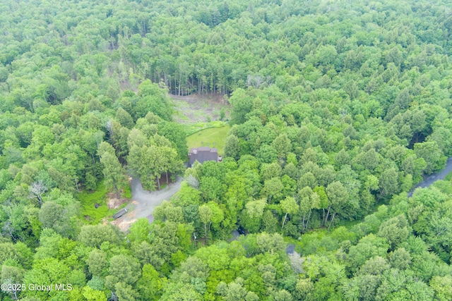 66 Schaeffer Rd, Berlin, NY 12138 - aerial view of a heavily wooded area