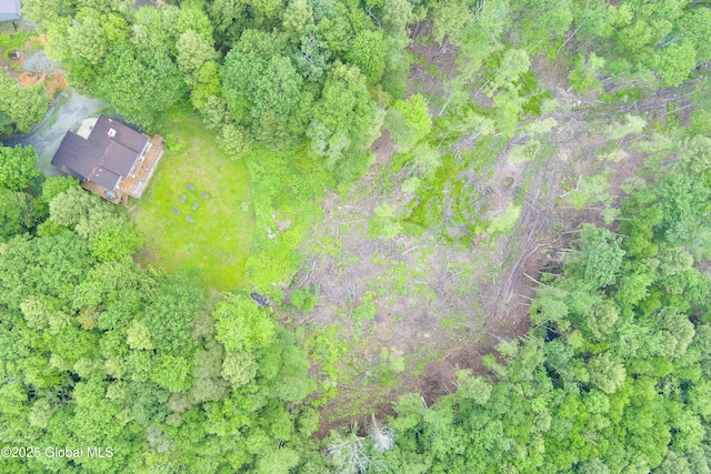 66 Schaeffer Rd, Berlin, NY 12138 - aerial view of property and surrounding area