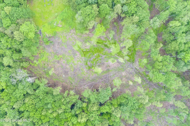66 Schaeffer Rd, Berlin, NY 12138 - aerial overview of property's location