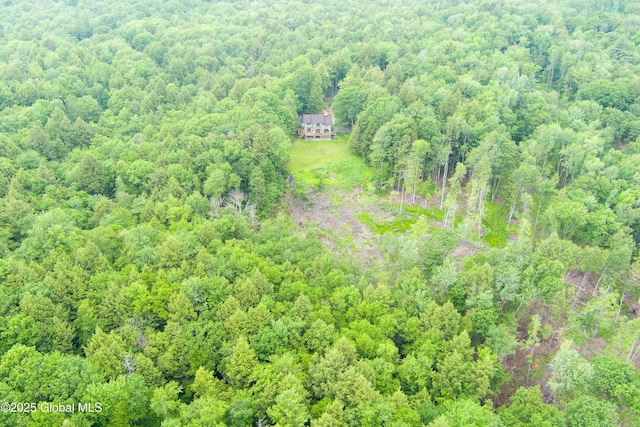 66 Schaeffer Rd, Berlin, NY 12138 - bird's eye view of a heavily wooded area