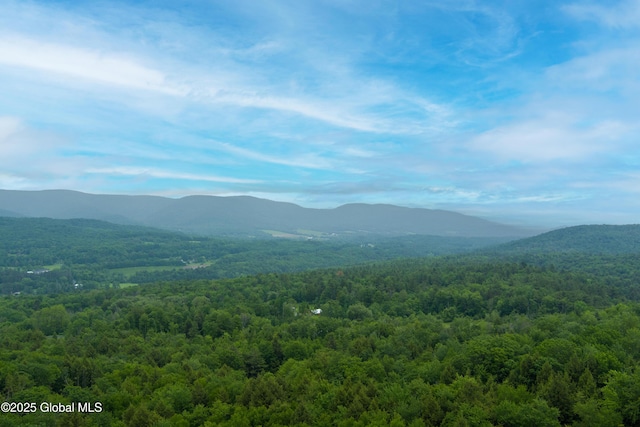 66 Schaeffer Rd, Berlin, NY 12138 - mountain view featuring a heavily wooded area