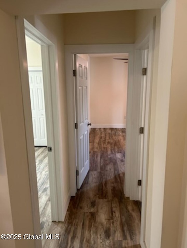 hallway with wood finished floors