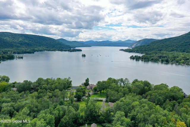 68 Mossy Point Rd, Ticonderoga, NY 12883 - photo 37