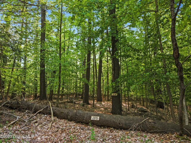 1732 Pilot Knob Rd, Fort Ann, NY 12844