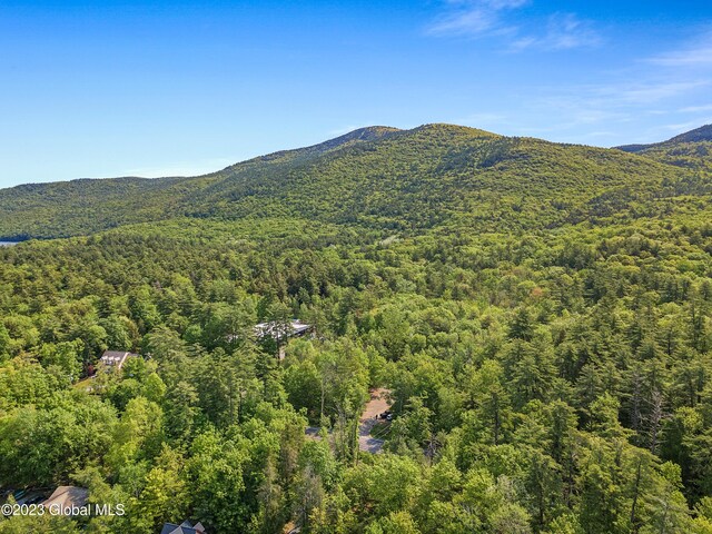 1732 Pilot Knob Rd, Fort Ann, NY 12844