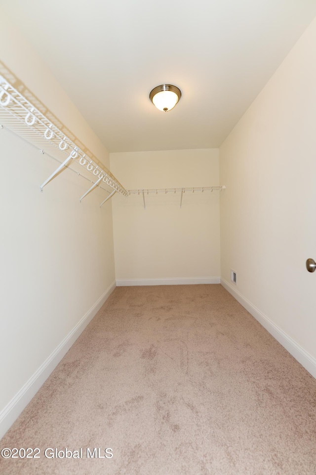 spacious closet featuring carpet floors