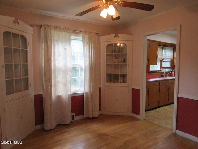 16 Knickerbocker Rd, Scotia, NY 12302 - unfurnished dining area featuring a ceiling fan, ornamental molding, and light wood-style floors