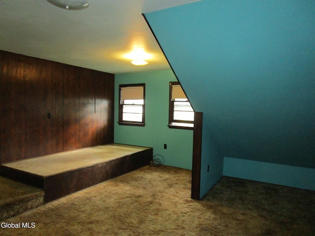 16 Knickerbocker Rd, Scotia, NY 12302 - additional living space featuring carpet flooring and wooden walls