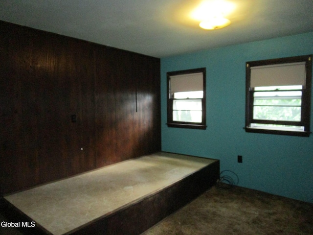 16 Knickerbocker Rd, Scotia, NY 12302 - unfurnished bedroom with carpet and wood walls